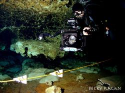 Image taken in Ginnie springs, Devils cave system...my bu... by Becky Kagan 